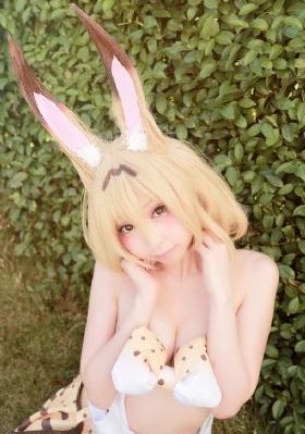 夏娃韩剧电视剧全集免费播放